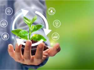 Thúc đẩy tiêu chuẩn phù hợp xu hướng phát triển xanh, kinh tế số và thương mại toàn cầu