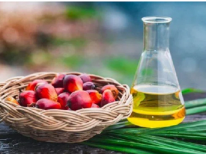 Chuyên gia khuyến cáo nên hạn chế sử dụng dầu cọ và dầu dừa công nghiệp để tốt cho sức khỏe