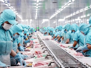 Thị trường thủy sản Đài Loan (Trung Quốc) và cơ hội rộng mở cho xuất khẩu Việt Nam