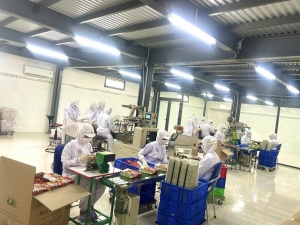 Phát triển sản phẩm theo tiêu chuẩn Halal – Hướng đi bền vững cho thương hiệu Việt 