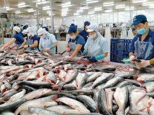 Doanh nghiệp thủy sản gấp rút chuẩn hóa truy xuất nguồn gốc, mở rộng thị phần sang EU 