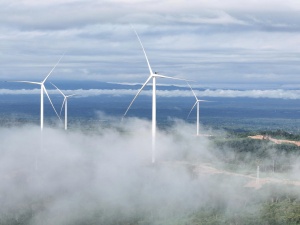 Khát vọng tạo giá trị bền vững từ năng lượng tái tạo của Bầu Hiển