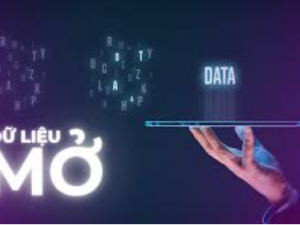 TCVN 14171:2024 – Hướng tới dữ liệu mở minh bạch và hiệu quả tại Việt Nam