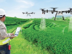 Điều gì khiến gene và AI trở thành tâm điểm tranh luận trong nông nghiệp?