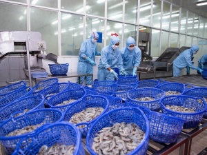 Thủy sản Việt Nam nâng chuẩn chất lượng từ tiêu chuẩn quốc tế và công nghệ mới
