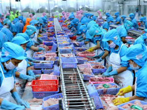 Quy tắc xuất xứ: ‘Điều kiện đủ’ để hàng Việt khẳng định vị thế trên bản đồ thương mại toàn cầu