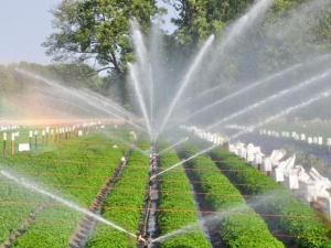TCVN về hệ thống tưới phun mưa cho cây công nghiệp và vây rau