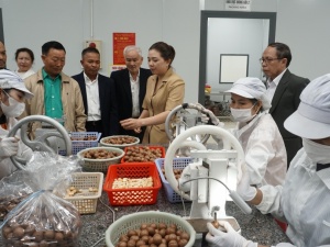 Kinh nghiệm triển khai NSCL tại Đắk Lắk: Thay đổi tư duy quản trị, hình thành chuỗi giá trị 