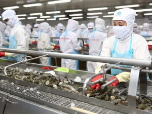 Triển khai Chương trình 1322 tại Cà Mau: Nhận diện vướng mắc và bài học kinh nghiệm