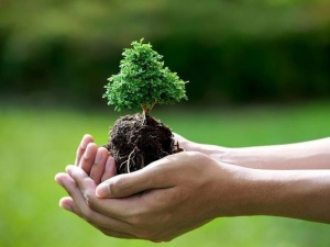 Áp dụng hệ thống quản lý môi trường trong doanh nghiệp: Lợi ích và hiệu quả thực tiễn