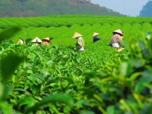 Nâng cao NSCL: ‘Chìa khóa’ tăng sức cạnh tranh cho doanh nghiệp Thái Nguyên