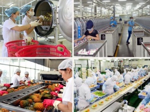 TCVN 14252:2024 về công bố cảm quan đối với sản phẩm tiêu dùng