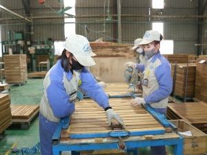 Tuyên Quang: Nâng cao năng suất chất lượng gắn với phát triển bền vững