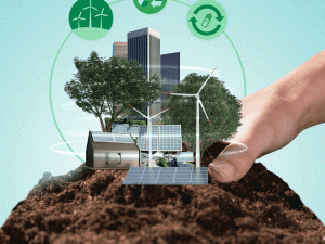 Tiêu chuẩn đa dạng sinh học theo ISO 17298:2025 gắn với các mục tiêu phát triển bền vững