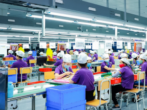 Từ chính sách đến thực tiễn: Nghệ An thúc đẩy doanh nghiệp nâng cao năng suất và chất lượng