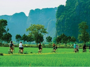 Đổi mới sáng tạo xanh: Động lực phát triển bền vững của Việt Nam