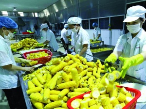 An Giang tạo chuyển biến rõ nét trong nâng cao năng suất, chất lượng doanh nghiệp