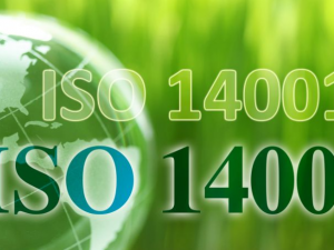 Khi chuẩn xanh trở thành chìa khóa của năng suất chất lượng