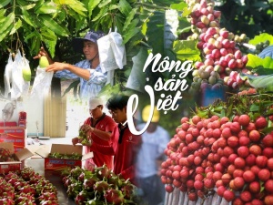 Đo lường gắn với chất lượng và minh bạch nông sản Đồng Tháp 