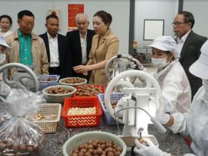 Đắk Lắk lấy năng suất, chất lượng làm nền tảng phát triển bền vững cho giai đoạn tới