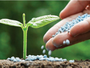 TCVN 14111:2024 về xác định vitamin B7 trong phân bón đáp ứng yêu cầu chất lượng