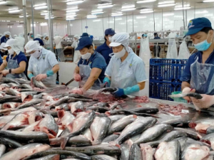 TCVN 14442:2025 hướng dẫn kiểm soát histamin, nâng cao an toàn thủy sản 