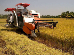 QCVN 90:2025/BNNMT yêu cầu an toàn đối với máy gặt đập liên hợp