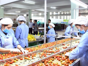 Thúc đẩy tăng năng suất chất lượng bền vững cho các doanh nghiệp khu vực Tây Nguyên