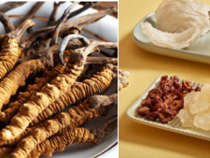 Chuyên gia khuyến cáo tổ yến, đông trùng hạ thảo không phải 'thần dược' như quảng cáo