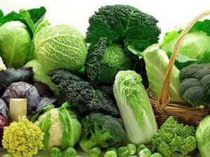 Ăn Tết khoa học: Giữ sức khỏe cho người thể trạng yếu