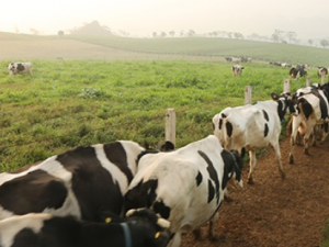 Nâng cao năng suất, chất lượng – đòn bẩy cho doanh nghiệp Sơn La phát triển bền vững