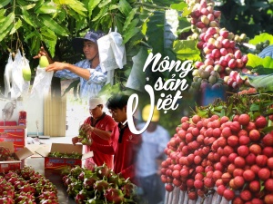 Số hóa chứng nhận: Lời giải cho bài toán cạnh tranh của nông sản Việt