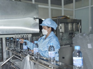 Doanh nghiệp trước ngã rẽ số hóa và xanh hóa