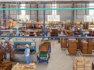 Doanh nghiệp gỗ nâng cao năng suất nhờ áp dụng tiêu chuẩn FSC