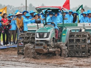 Thúc đẩy sản xuất lúa chất lượng cao gắn với giảm phát thải