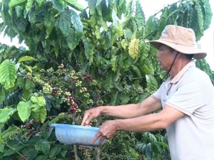 Canh tác bền vững - nâng tầm giá trị nông sản