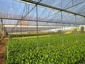 Mô hình tích hợp tiêu chuẩn và công cụ cải tiến phát huy hiệu quả trong doanh nghiệp