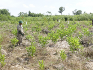 TCVN 10299-4:2025 về điều tra ô nhiễm bom mìn vật nổ