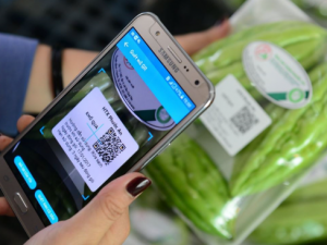 Vận hành và quản lý hệ thống truy xuất nguồn gốc thực phẩm minh bạch và chất lượng