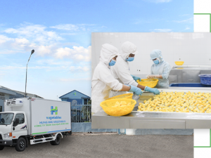 'Lợi ích kép' của doanh nghiệp từ đổi mới công nghệ, chuyển sang sản xuất xanh