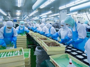 Tiêu chuẩn HACCP: Giải pháp nâng cao năng lực cạnh tranh cho doanh nghiệp thực phẩm