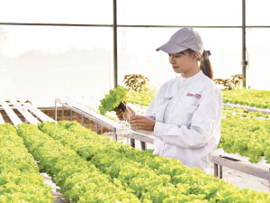 Minh bạch dữ liệu, nền tảng của khởi nghiệp xanh