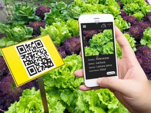 Bài 2: Những công nghệ cốt lõi giúp phát hiện hàng kém chất lượng trong thời đại số