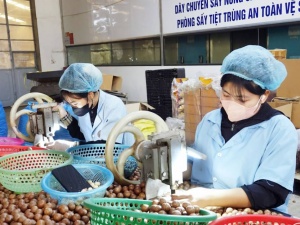 Từ sản lượng đến giá trị: Bước chuyển của nông nghiệp thời công nghệ