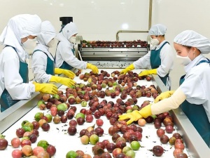 Nông sản Việt Nam: Khi GlobalGAP và ISO 22000 'mở cửa' cho xuất khẩu chất lượng