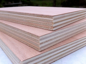 TCVN 14550:2025 về khả năng chống chịu thời tiết của gỗ nguyên và gỗ dán