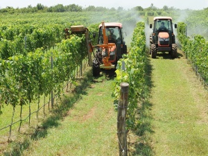 Lâm Đồng đẩy mạnh áp dụng tiêu chuẩn, nâng cao năng suất chất lượng doanh nghiệp giai đoạn 2026–2030