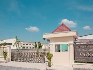 Kết hợp ISO 22000 và HACCP trong ngành thực phẩm: Tăng năng suất, giảm rủi ro