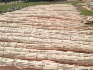 TCVN 14548:2025 chuẩn hóa chất lượng mây nguyên liệu