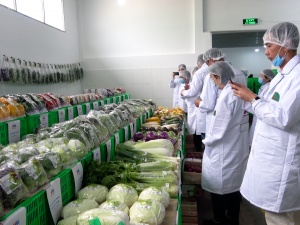 Mở cửa thị trường bằng 'hộ chiếu số'